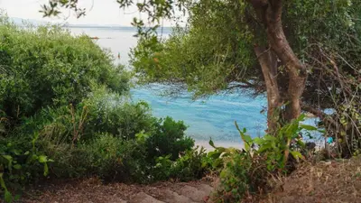 a view of the ocean from a beach with a tree at Novaya Suites in Ajaccio