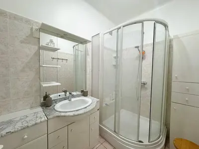 a bathroom with a shower and a sink at Joli T3 moderne avec vue imprenable sur la mer in Propriano