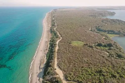 an aerial view of a beach next to the ocean at T2 Mare - Casa Mattea in Aléria