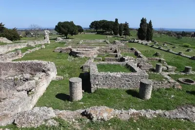 an ancient ruins with columns and trees in a field at T2 Mare - Casa Mattea in Aléria