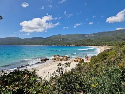 a group of elephants on a beach near the water at Mini villa 70 - piscine chauffée in Serra-di-Ferro