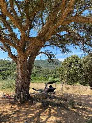 a person sitting in a hammock under a tree at Maison cantonnière in Sartène