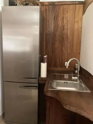 a kitchen with a stainless steel refrigerator and a sink at Domaine U Bugnu in Vico