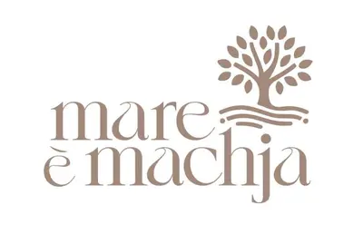 a drawing of a tree with the words make america at Appartement Mare è Machja avec piscine et vue mer in Sari Solenzara