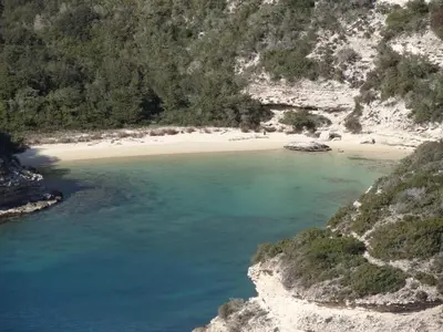an aerial view of a beach on a mountain at Résidence Santa Giulia Park 1 avec piscine à proximité des plages in Porto-Vecchio