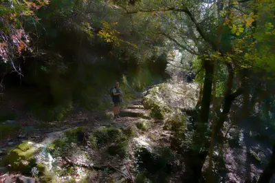 a man standing on a trail in a forest at COCON AUX SENTEURS de CORSE et VUE EXCEPTIONNELLE in Linguizzetta