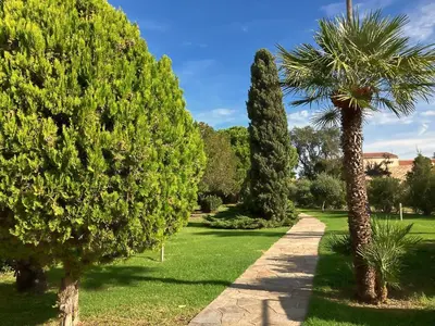 a row of trees in a park with a pathway at COCON AUX SENTEURS de CORSE et VUE EXCEPTIONNELLE in Linguizzetta