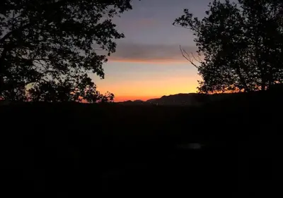a sunset in a field with two trees at Villa d'architecte in Sotta