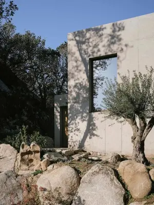 a house with a tree in front of a building at Villa d'architecte in Sotta