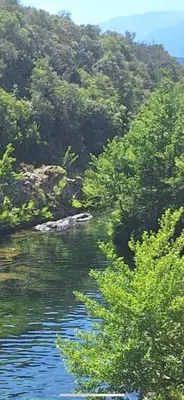 a body of water with trees in the background at Maison bord de mer in Poggio-Mezzana
