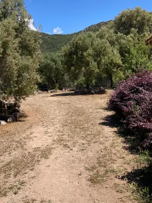 a dirt field with trees and a mountain in the background at Villa élégante à Sagone avec piscine privée et vue sur la mer in Sagone