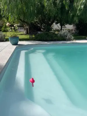 a red ball sitting on top of a swimming pool at Location à Porto Vecchio in Porto-Vecchio