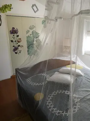 a bedroom with a bed covered in a net at La Tour dans haut de villa in Porto-Vecchio