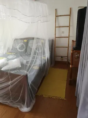 a bedroom with a bed covered in mosquito net at La Tour dans haut de villa in Porto-Vecchio