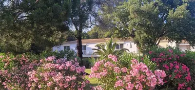 an umbrella in a garden with flowers and trees at Eden Cala Rossa appartement 3 chambres et grande terrasse dans résidence hotelière Fiori di Cala Rossa à Lecci in Lecci