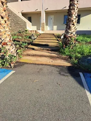 a stairway leading to a house with a palm tree at Appartement avec piscine à 2 pas de la plage in Linguizzetta