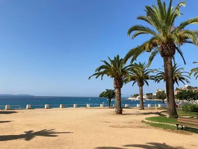 a park with palm trees and a bench on the beach at Trottel a Livia in Ajaccio