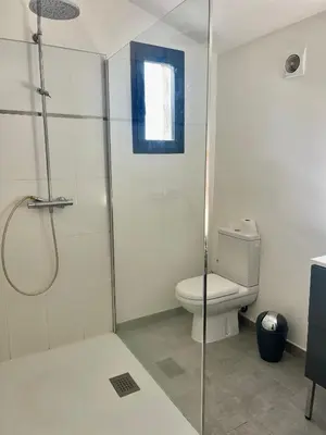 a bathroom with a shower and a toilet at Maison T4 Saint Cyprien in Lecci