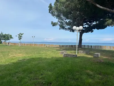a park with a tree and benches and the ocean at Studio meublé bord de mer in Santa-Lucia-di-Moriani