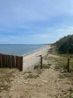 a sandy beach with a fence and the ocean at Studio meublé bord de mer in Santa-Lucia-di-Moriani