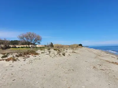 a sandy beach next to the ocean on a clear day at Maison au bord de la mer in Poggio-Mezzana