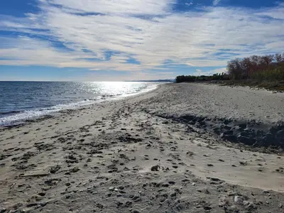 a beach with footprints in the sand and the water at Maison au bord de la mer in Poggio-Mezzana