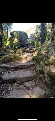a dirt path in a forest with rocks and trees at appartement de standing avec jacuzzi exterieur in Zonza