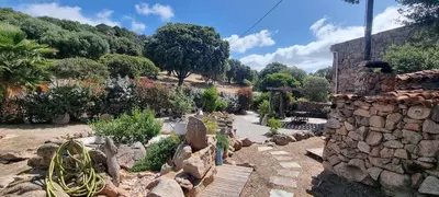 a garden with rocks and a stone wall at Cottage bergerie en pierres avec jacuzzi en corse 6 personnes, 3 chambres in Coti-Chiavari