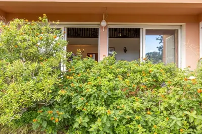 a front door of a house with a bush at Villa Josiane in San-Nicolao