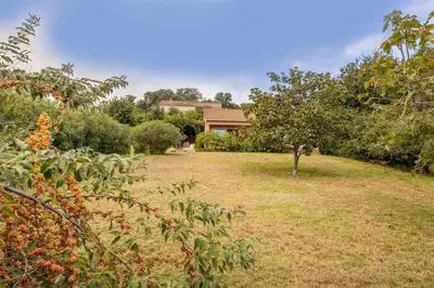 a field of grass with a house in the background at Villa Josiane in San-Nicolao