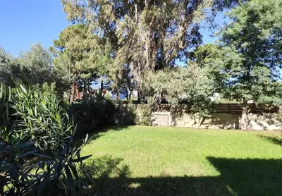 a large tree in the middle of a yard at Villa Cosy, 75m2, climatisé, 200m plage, parking in Lecci