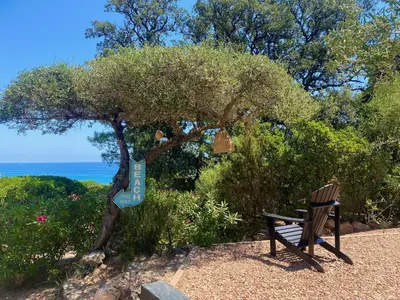 a bench sitting next to a tree next to the ocean at Maison Bord'eau in Sainte-Lucie de Porto-Vecchio