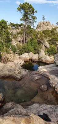 a small pool of water on the rocks at Duplex neuf T3 terrasse et jardin proche plages in Pietrosella