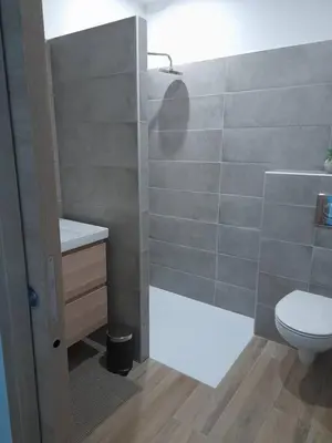 a bathroom with a white toilet and a sink at Villa spacieuse à Zonza avec piscine privée in Conca