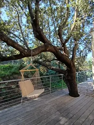a swing hanging from a tree on a wooden deck at Villa en Corse du Sud - Golf d'Ajaccio in Coti-Chiavari