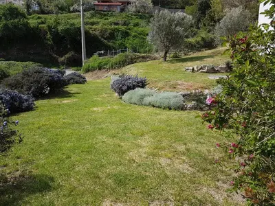 a garden with purple flowers on a hill at Côté Lac Tolla in Tolla