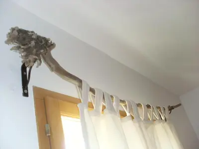 a dinosaur head on the wall above a window at Côté Lac Tolla in Tolla