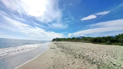 a sandy beach with the sun in the sky at Studio les pieds dans l'eau in San-Nicolao