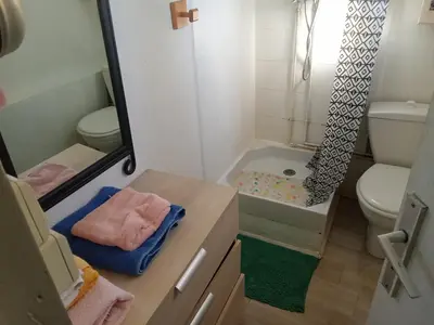 a bathroom with a shower and a toilet and a sink at Maisonnette in Albertacce