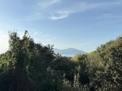 a group of trees with mountains in the background at Maisonnette vue mer résidence vacances Porticcio in Grosseto-Prugna