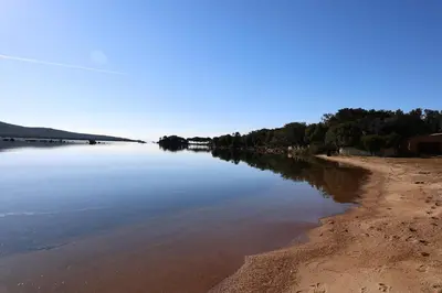 a body of water with a beach and trees at Perla di Mare - T3 avec piscine et accès plage in Viagenti