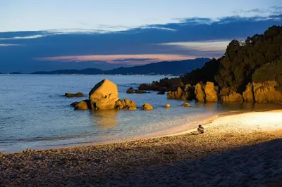 a bird sitting on a beach with a large rock at Villa des Chênes in Figari