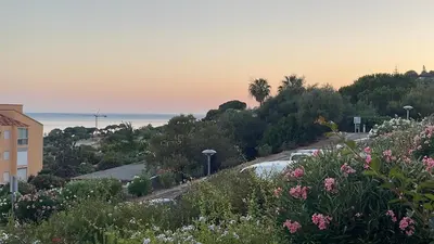 a view of the ocean from a hill with flowers at Appartement Marinella route des Sanguinaires Corse in Ajaccio