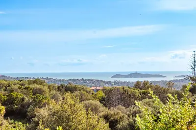 a view of the ocean from a hill with trees at Casa Luna Di Santa Lucia in Sainte-Lucie de Porto-Vecchio