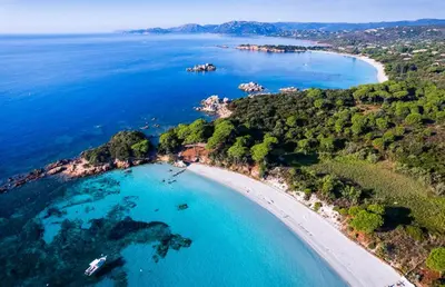 an aerial view of a beach and the ocean at U Caseddu in Sotta