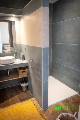 a bathroom with a shower and a sink at A l'Orée du Maquis Villa 6 personnes in Bonifacio