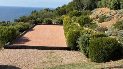 a large garden with bushes on the side of a hill at AZUR E CASTELLU - CORSE SUD - Pied à terre IDEAL in Calcatoggio