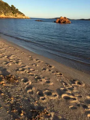 a group of footprints in the sand on a beach at Appartement vue mer avec accès privé à la plage in Lecci