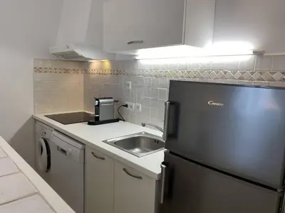 a kitchen with a black refrigerator and a sink at Appartement vue mer avec accès privé à la plage in Lecci