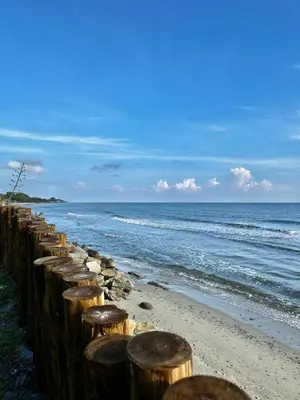a row of wooden stools on a beach next to the ocean at Studio les pieds dans l'eau in Santa-Lucia-di-Moriani